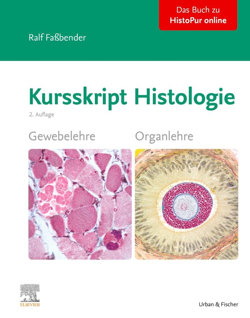 Kursskript Histologie 9783437412622 Elsevier GmbH