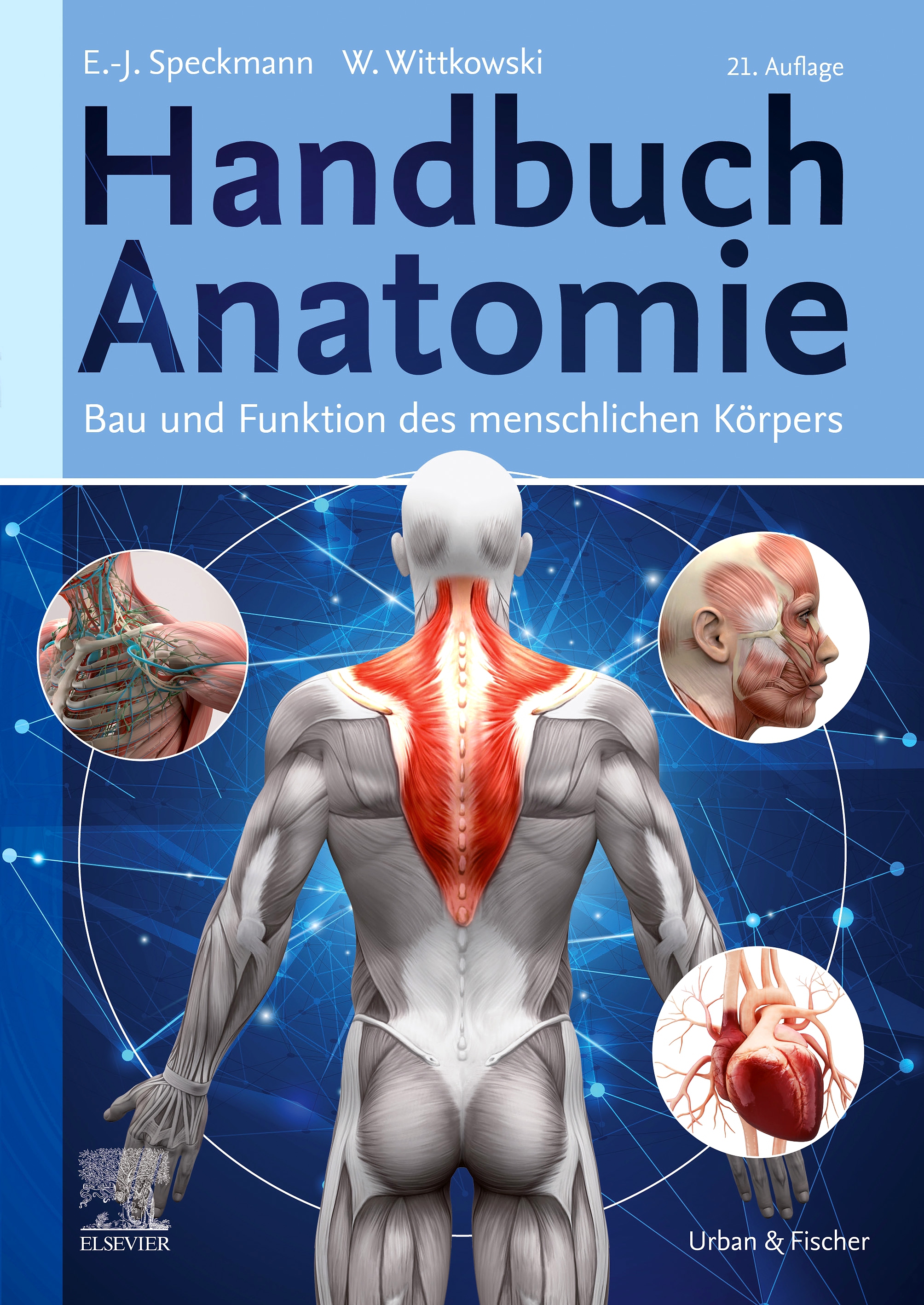 Handbuch Anatomie - 9783437261930 | Elsevier GmbH