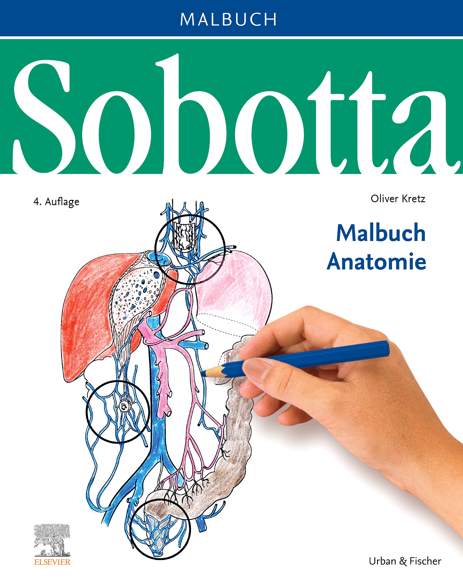 Sobotta Malbuch Der Anatomie