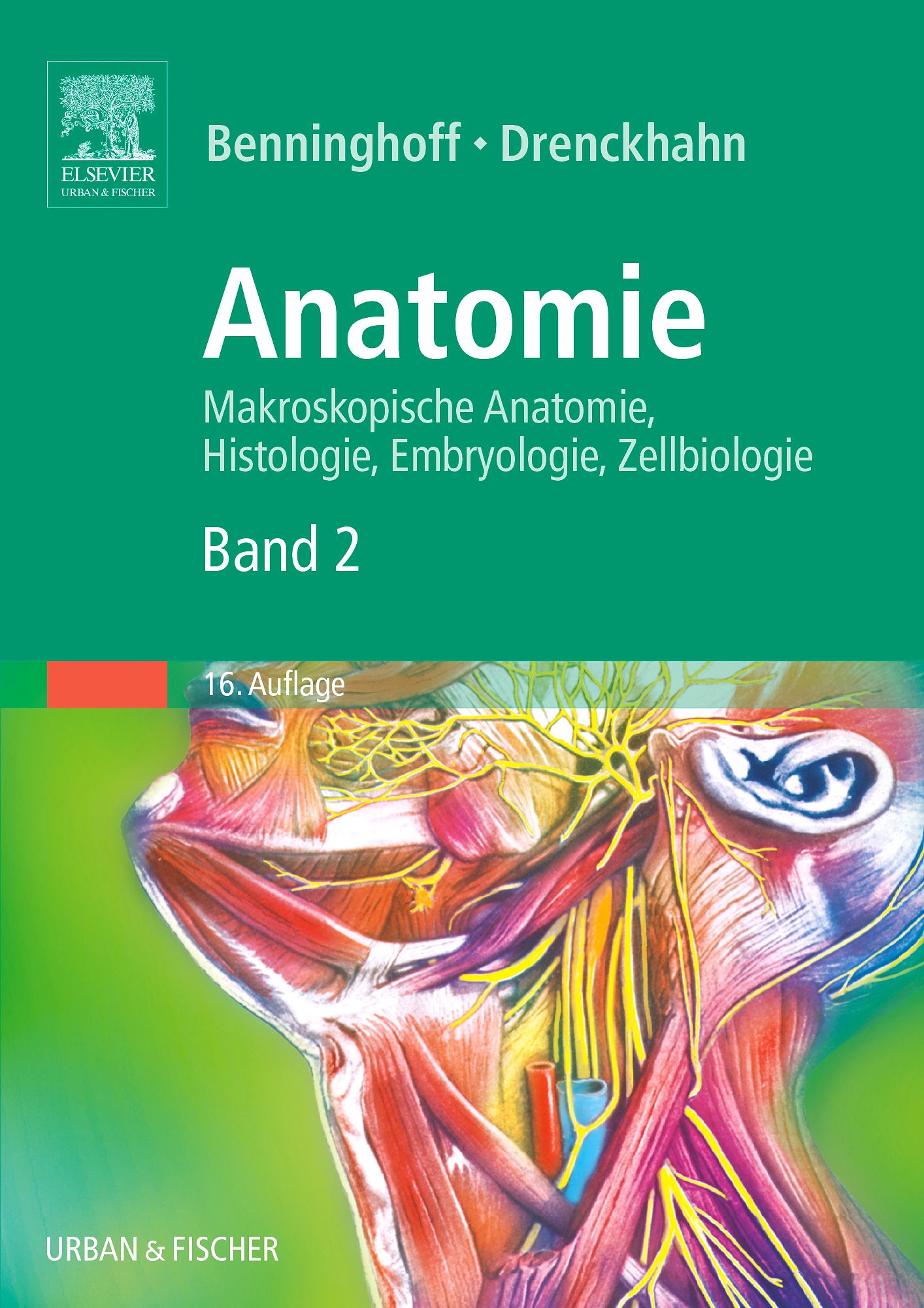 Anatomie, Makroskopische Anatomie, Embryologie und Histologie des