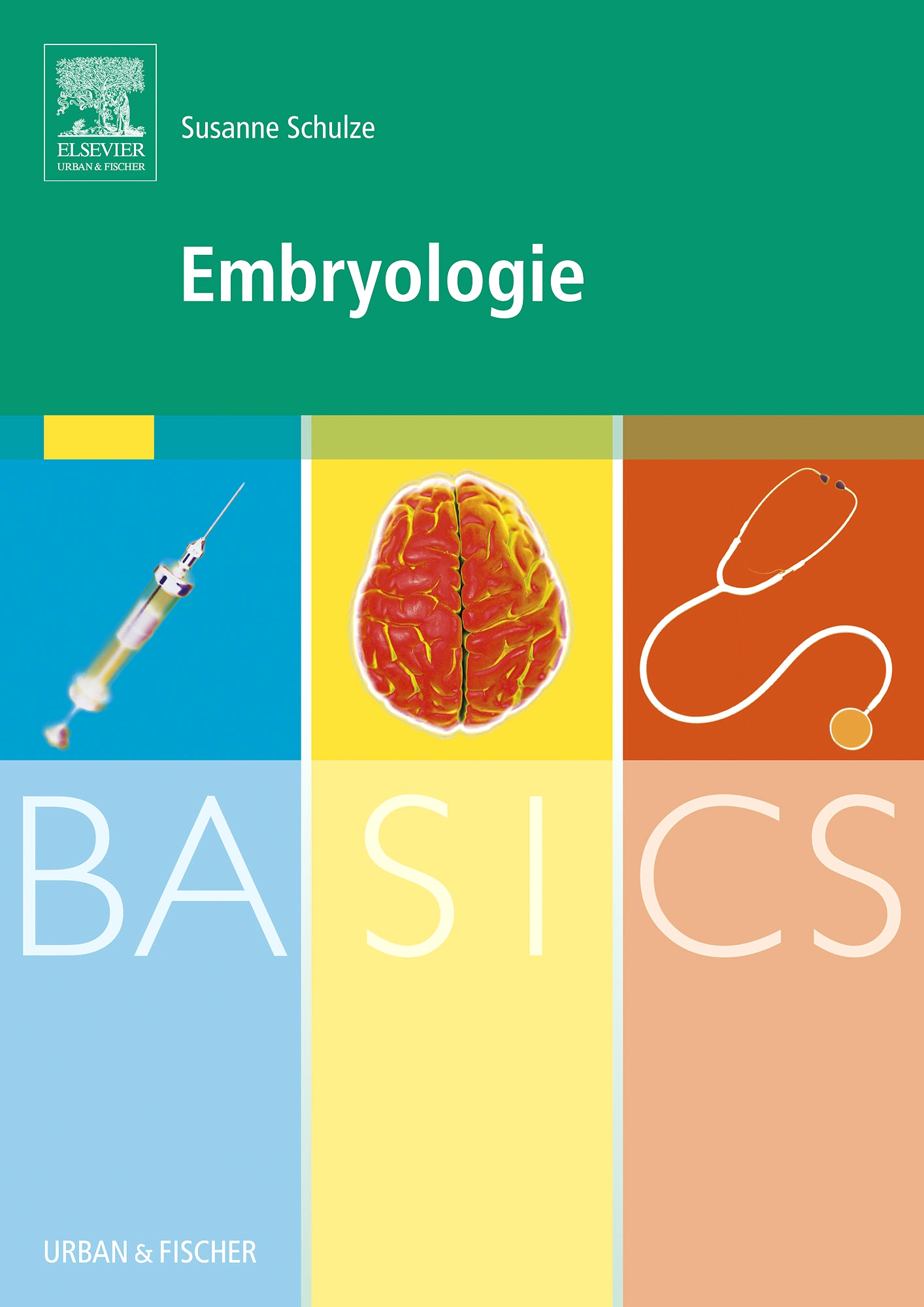 BASICS Embryologie - 9783437426766 | Elsevier GmbH