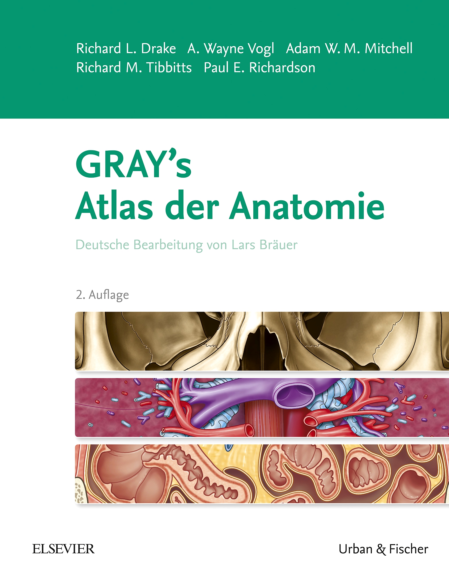 gray-s-atlas-der-anatomie-9783437447013-elsevier-gmbh