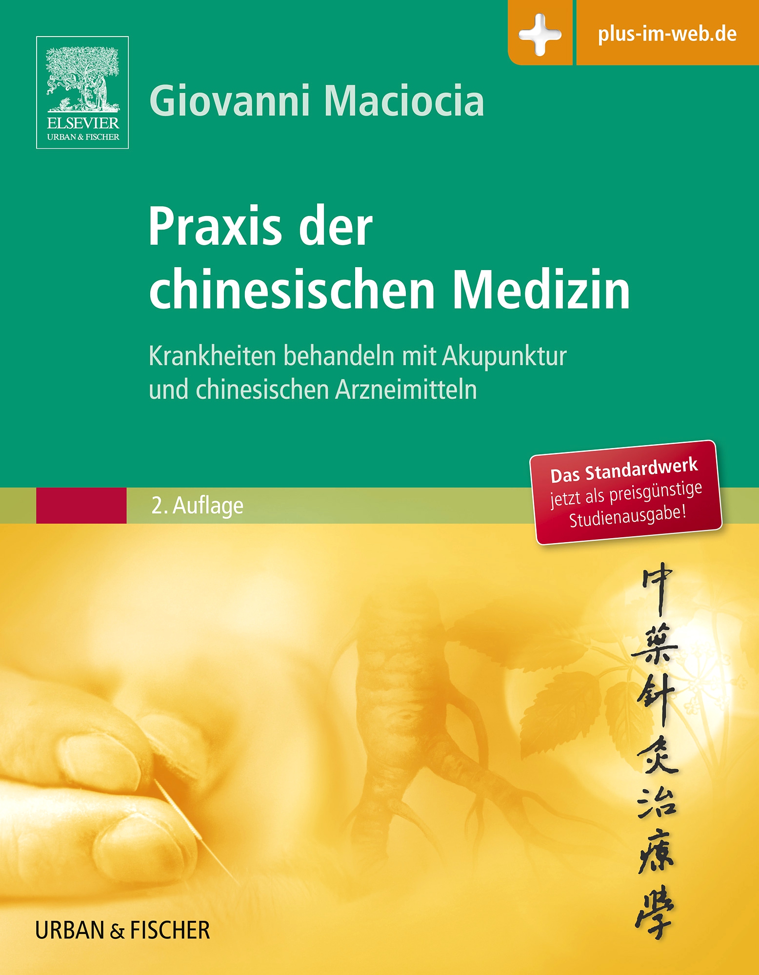 Grundlagen Der Chinesischen Medizin – RCZD