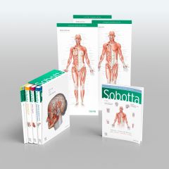 Sobotta Atlas of Anatomy, Package, 17th ed., English/Latin