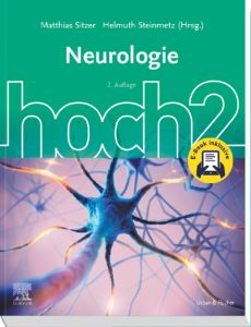 Neurologie hoch2