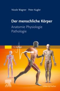 Der menschliche Körper
