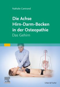 Die Achse Hirn-Darm-Becken in der Osteopathie