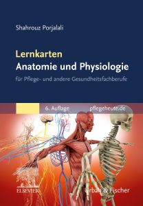 Lernkarten Anatomie und Physiologie