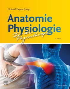 Anatomie Physiologie für die Physiotherapie