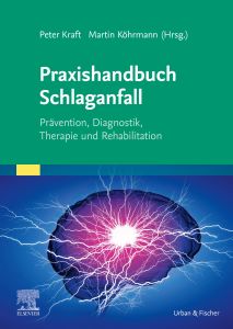 Praxishandbuch Schlaganfall