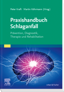 Praxishandbuch Schlaganfall