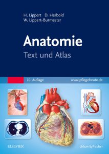 Anatomie