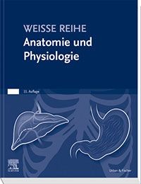 Anatomie und Physiologie