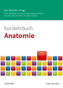 Kurzlehrbuch Anatomie