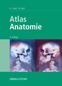 Atlas Anatomie