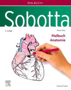 Sobotta Malbuch Anatomie