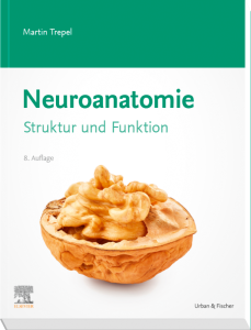 Neuroanatomie