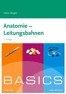 BASICS Anatomie - Leitungsbahnen