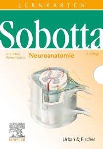 Sobotta Lernkarten Neuroanatomie