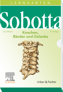 Sobotta Lernkarten Knochen，Bänder und Gelenke公司