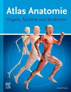 Atlas Anatomie für Laien