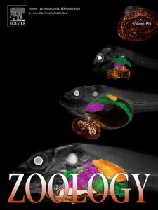 Zoology