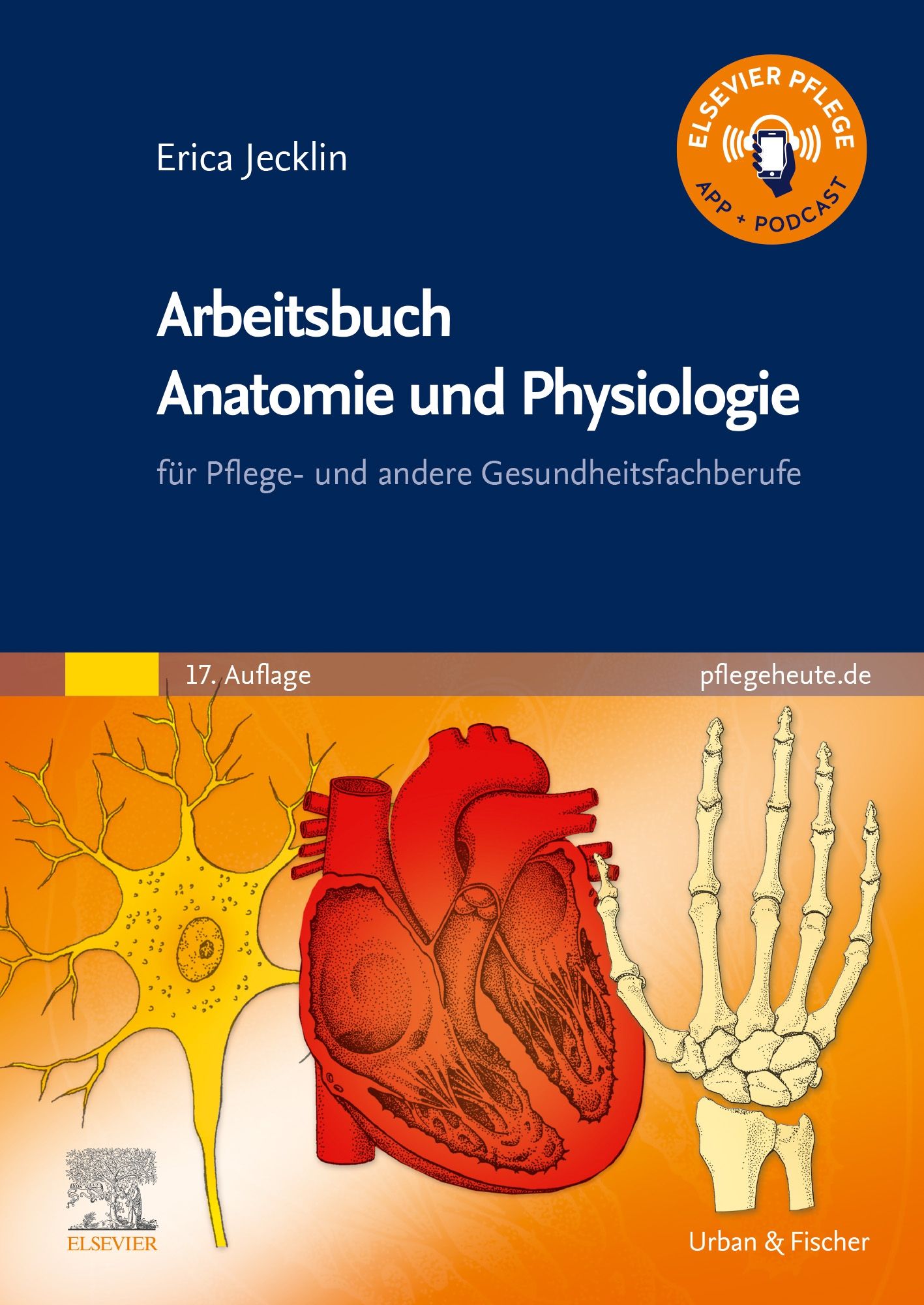 Arbeitsbuch Anatomie und Physiologie - 9783437250842