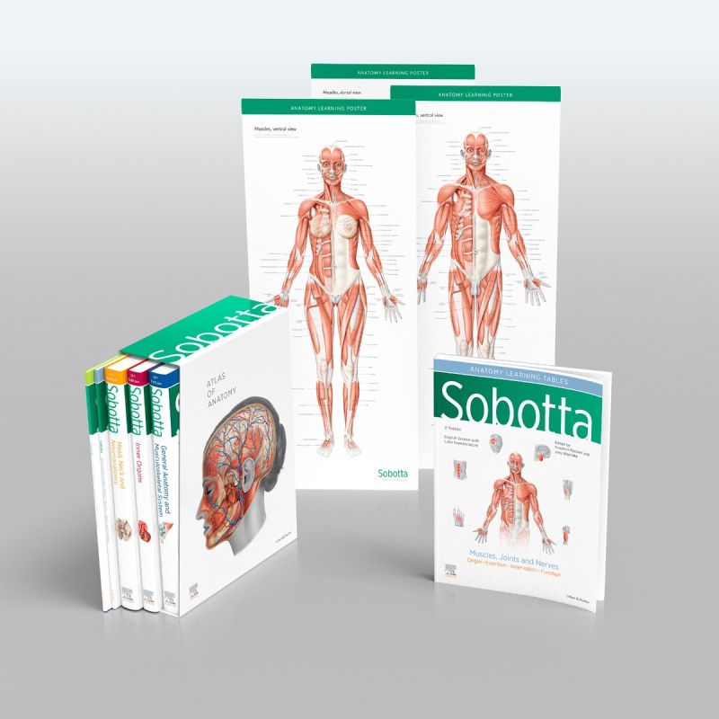 Sobotta Atlas Of Anatomy Package Th Ed English Latin Elsevier GmbH