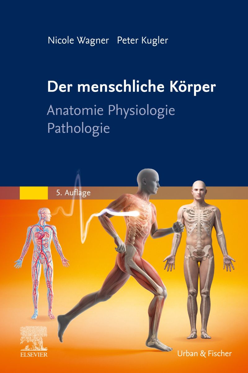 Der Menschliche K rper 9783437251955 der-menschliche-k-rper-9783437251955