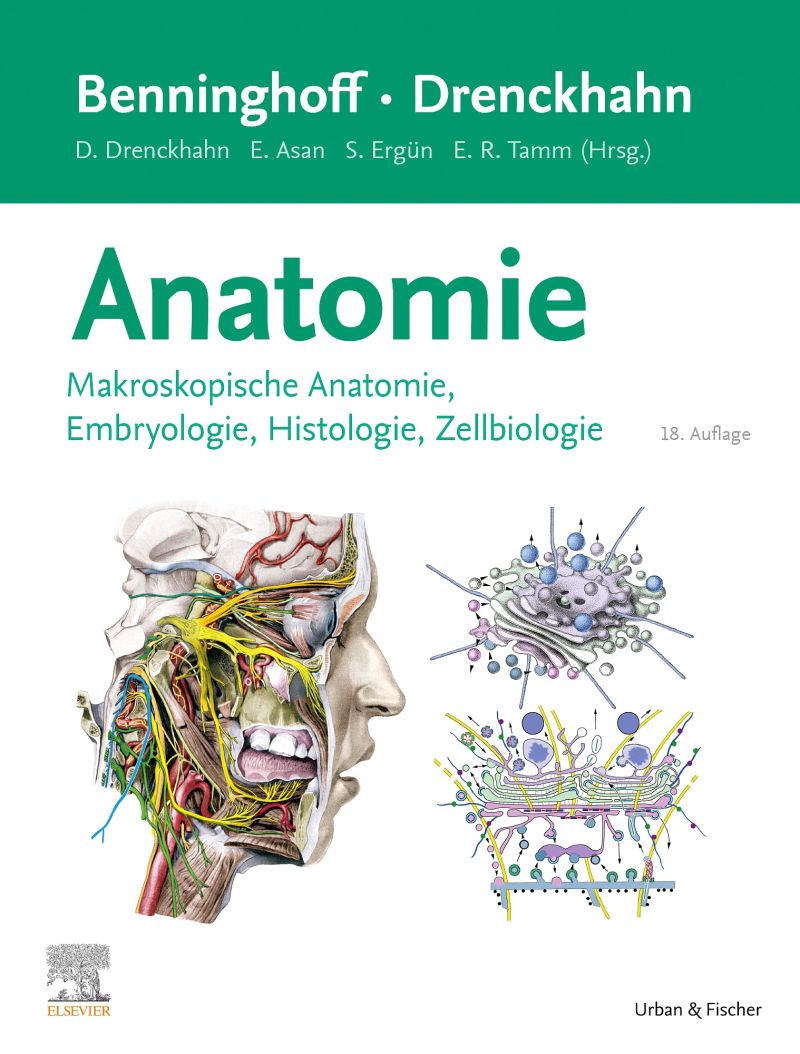 Benninghoff/Drenckhahn, Anatomie - 9783437423529