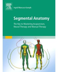 Segmental Anatomy