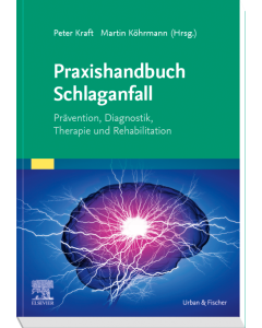 Praxishandbuch Schlaganfall