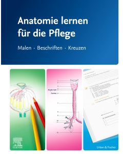 Anatomie lernen für die Pflege