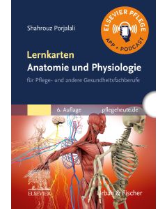 Lernkarten Anatomie und Physiologie