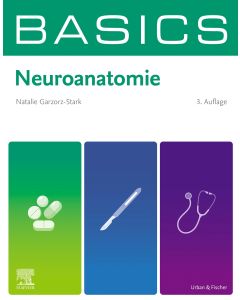 BASICS Neuroanatomie