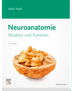 Neuroanatomie