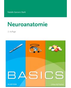 Basics Neuroanatomie