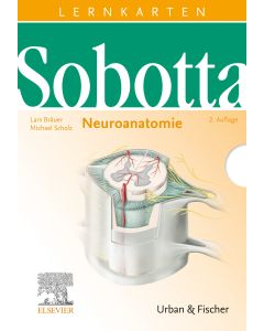 Sobotta Lernkarten神经解剖学