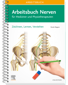 Arbeitsbuch Nerven