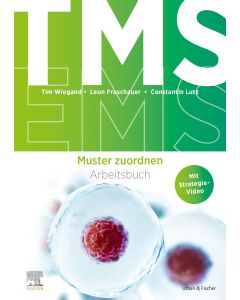 TMS und EMS