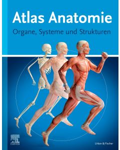 Atlas Anatomie für Laien