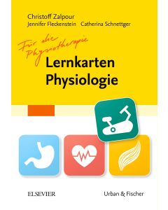 Lernkarten Physiologie für die Physiotherapie