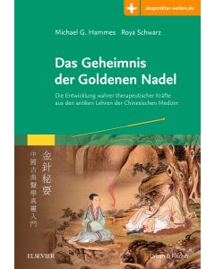 Das Geheimnis der Goldenen Nadel