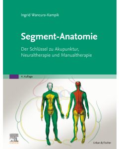 Segment-Anatomie