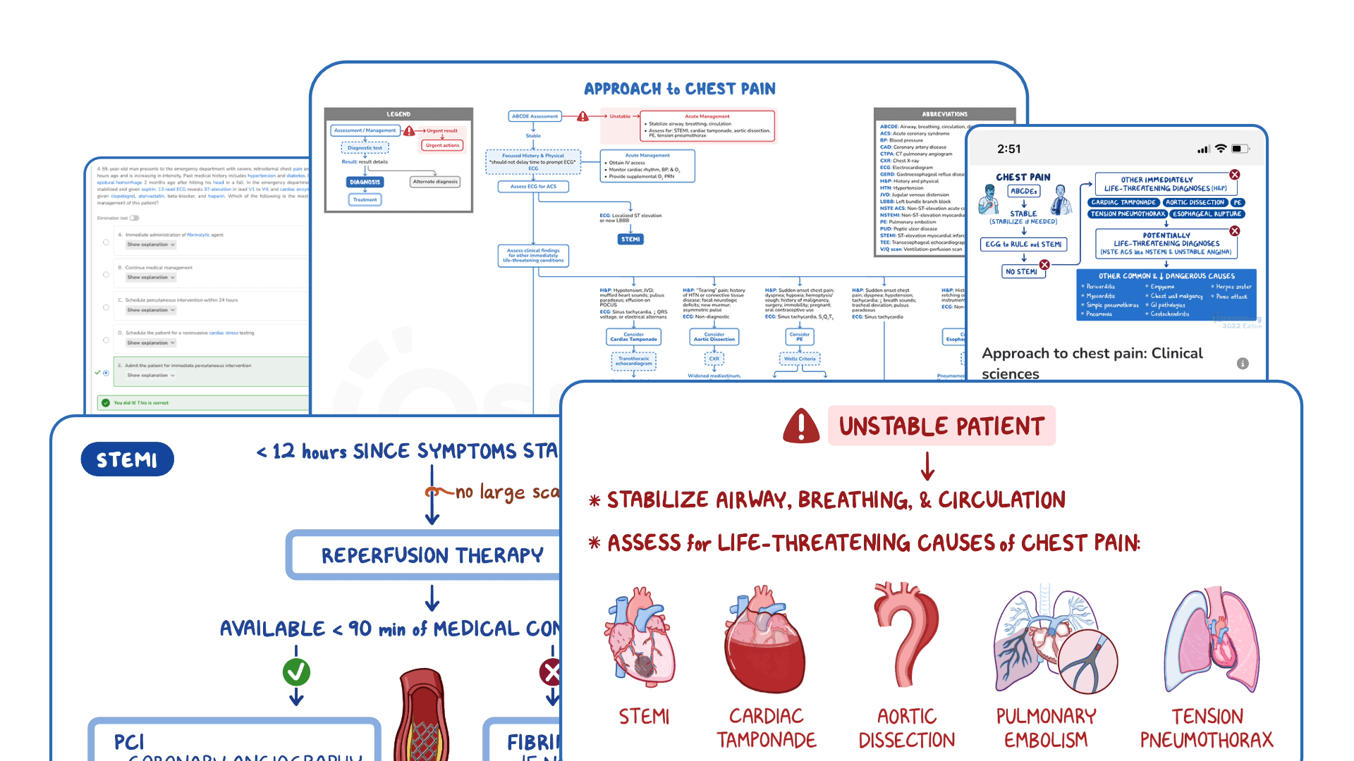 Learn visually with Osmosis